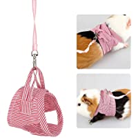 Los mejores  - HEEPDD Arnés y Correa de Animales pequeños- arnés para Mascotas Arneses al Aire Libre Arnés Ropa para cobayas Ardillas…
